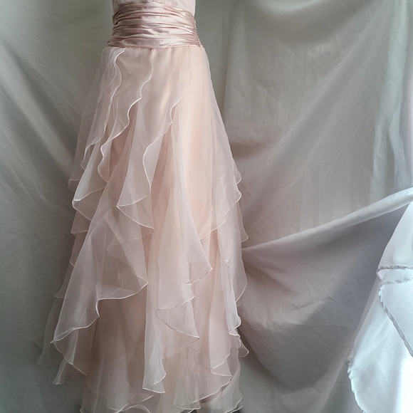 David's Bridal Strapless Dress in Blush - Picture 2 of 6